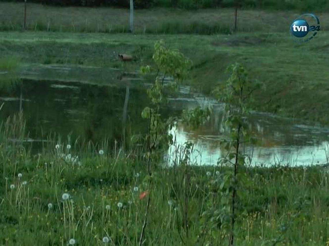 Ignalin: 4-latek utonął w przydomowym oczku wodnym 