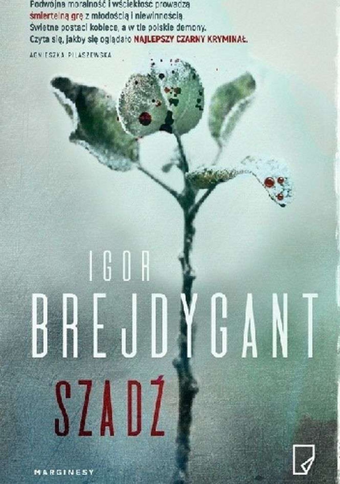 Igor Brejdygant, „Szadź” Igor Brejdygant, „Szadź”