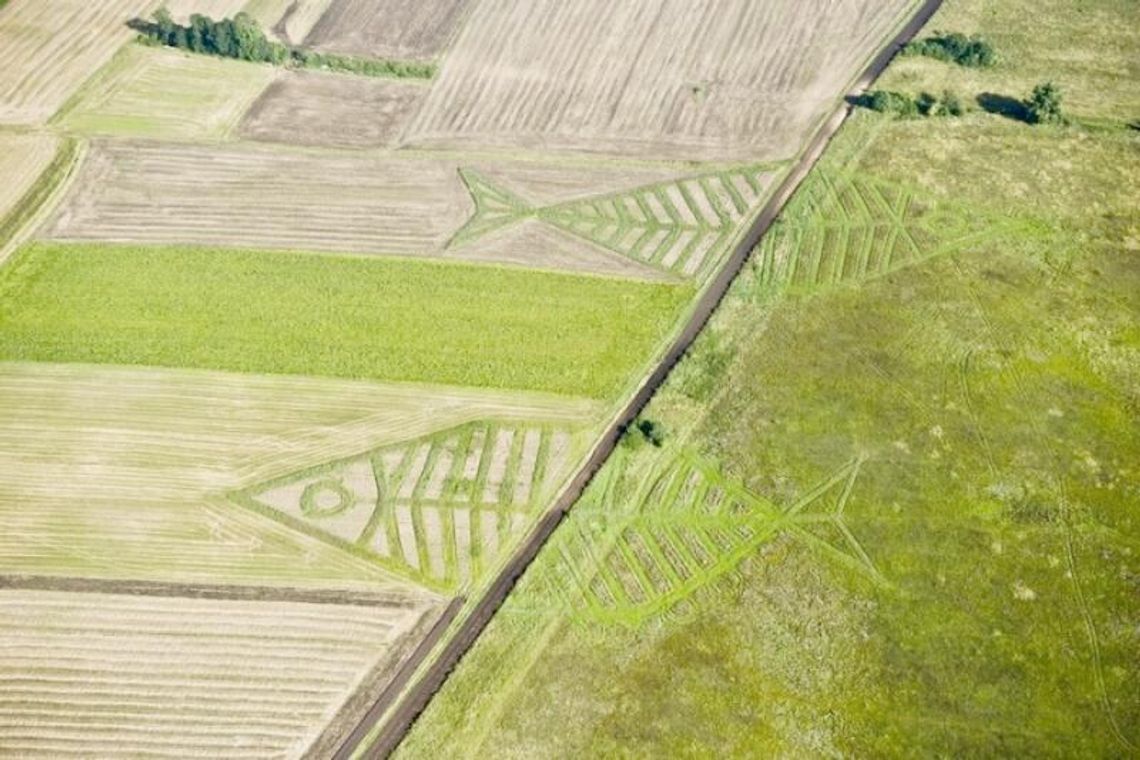 II Lubelski Festiwal Land Art. na Roztoczu
