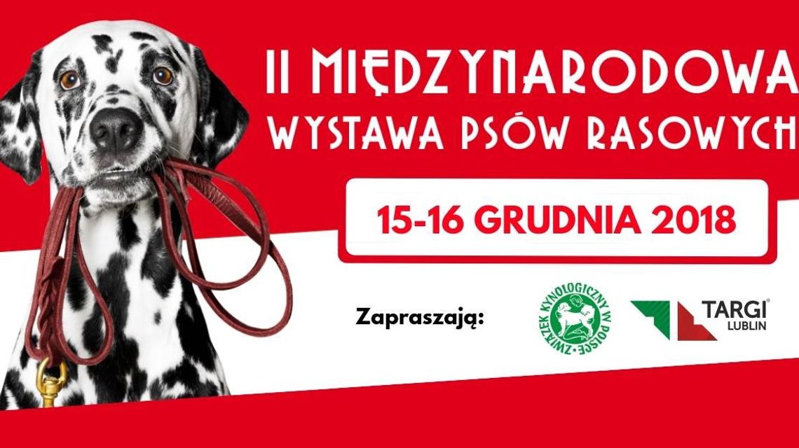 II Międzynarodowa Wystawa Psów Rasowych w Lublinie