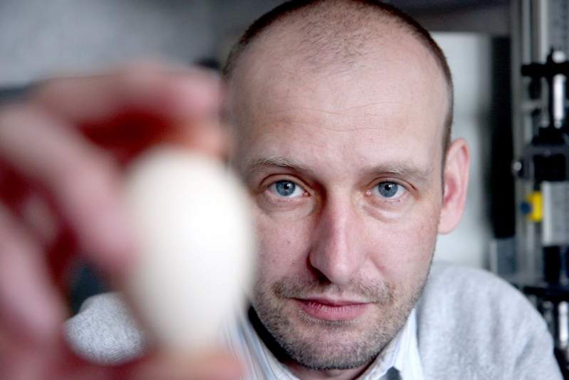 Ile jaj znosi kura? Czy są zdrowe? Od czego zależy ich kolor? Rozmowa z ekspertem