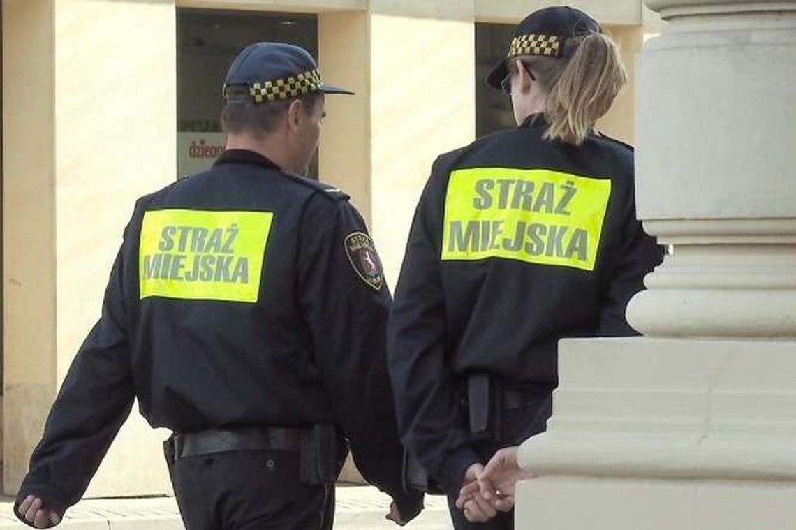 Ile strażnicy przyniosą z ulicy? Ratusz liczy na 1,5 mln zł z mandatów