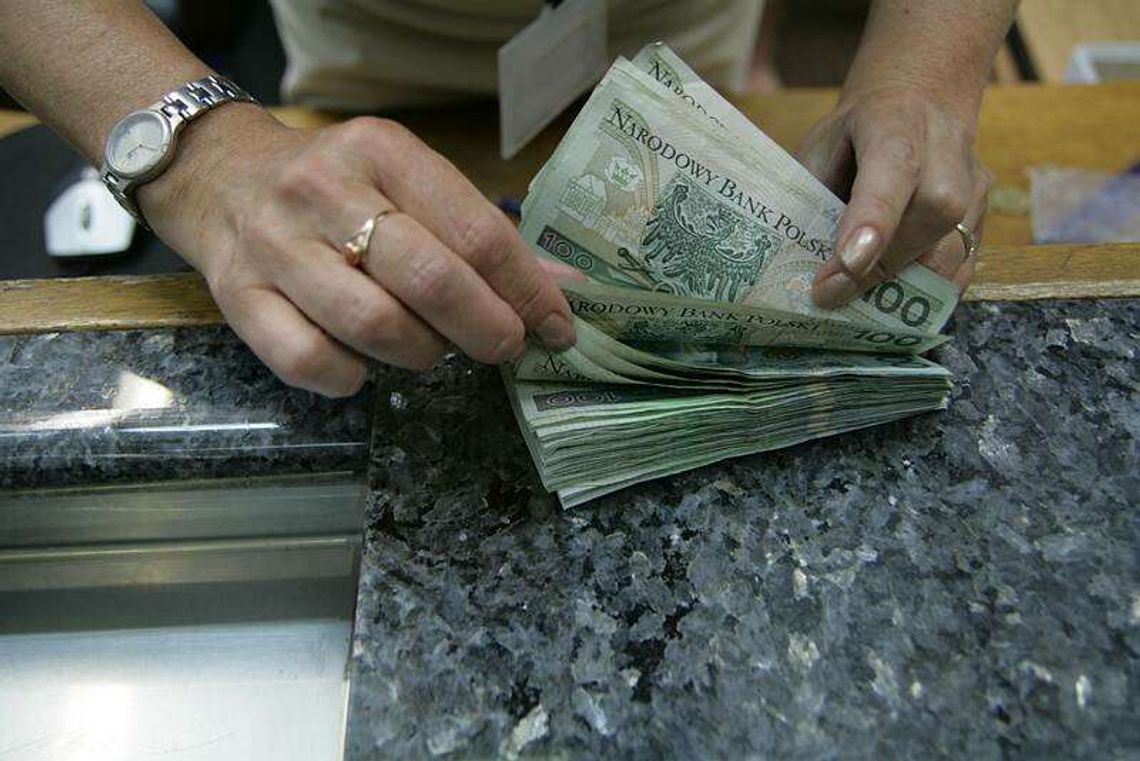 Ile zarabia programista, a ile asystent na uczelni?