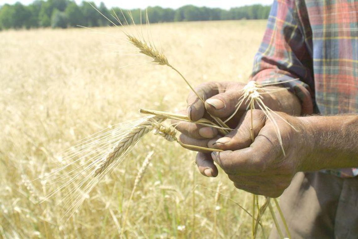Ile zarabia rolnik w woj. lubelskim?