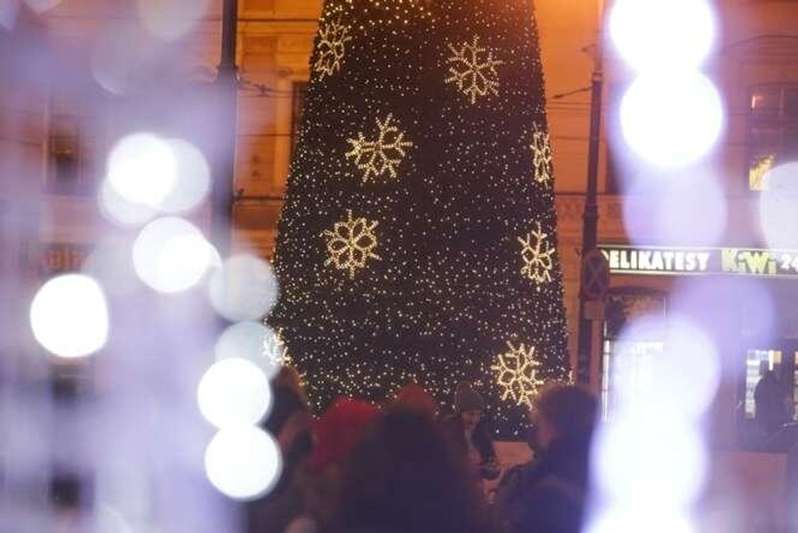 Iluminacje świąteczne w Lublinie. Choinka już świeci, ale nie wszystko udało się włączyć [zdjęcia]