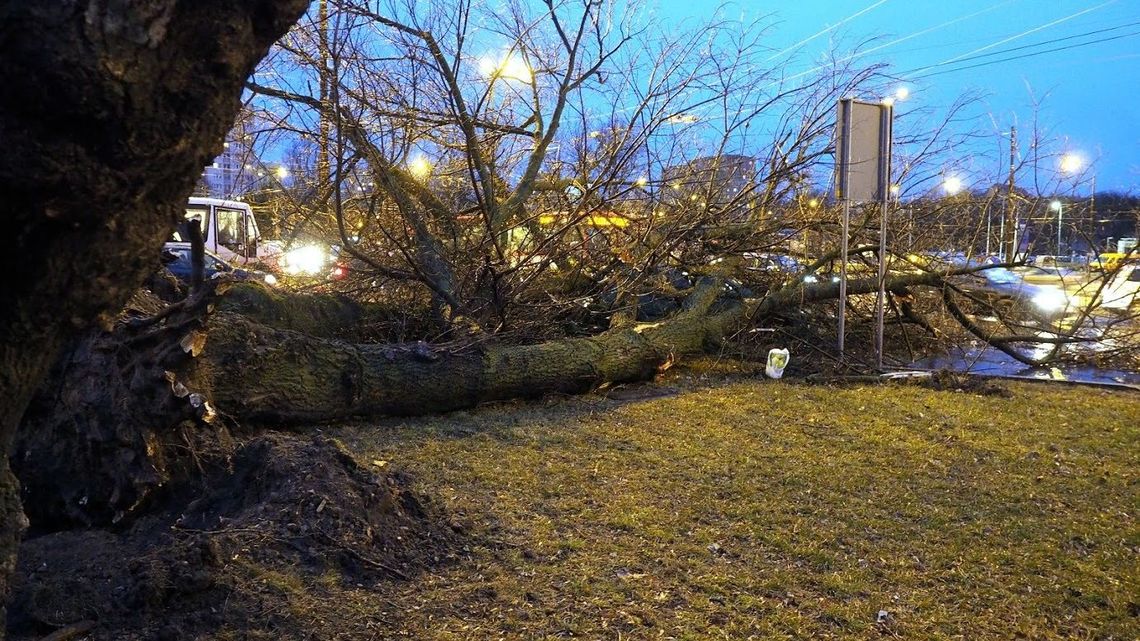 IMGW ostrzega przed silnym wiatrem. Może być niebezpiecznie