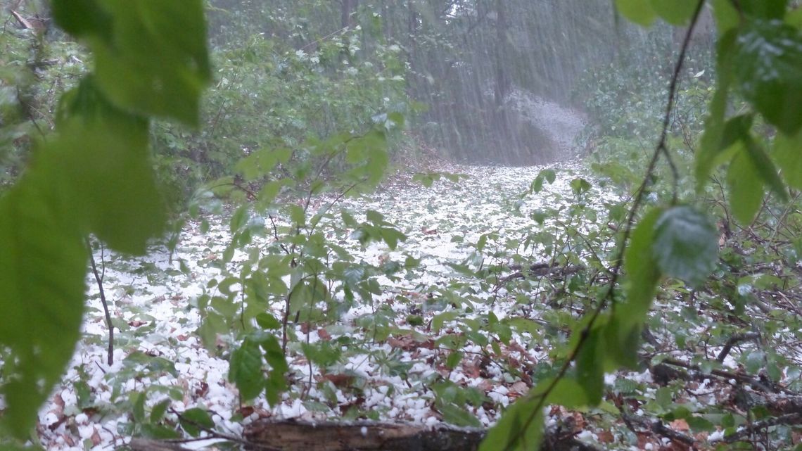 IMGW podnosi stopień ostrzeżeń: w Lubelskiem możliwe trąby powietrzne [aktualizacja]