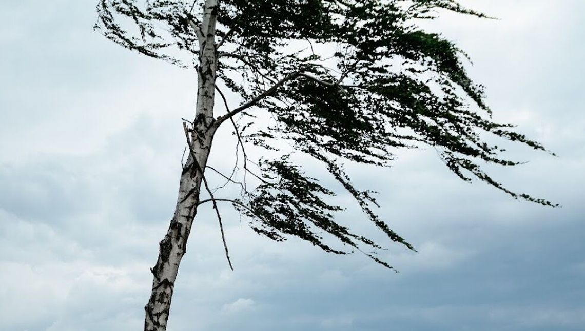 IMGW wydaje ostrzeżenie pogodowe. Może być niebezpiecznie