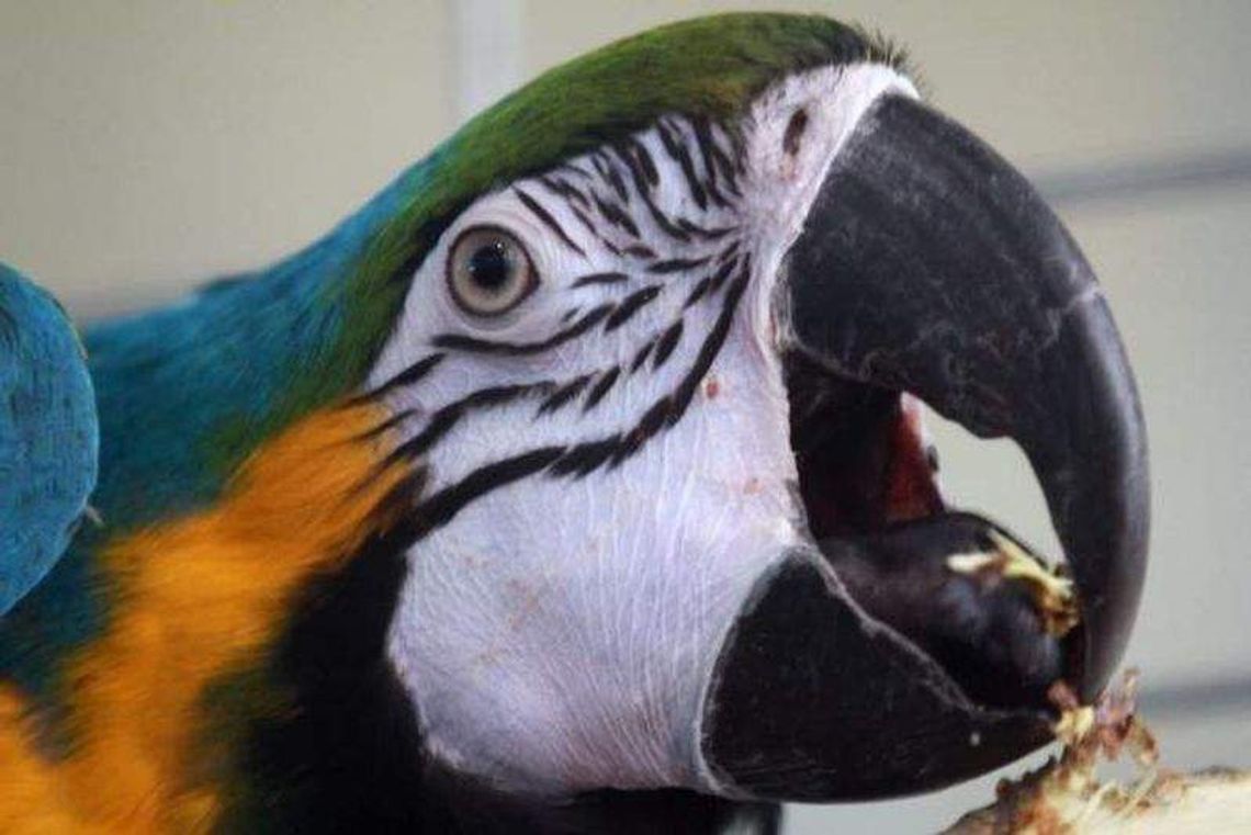 Imprezy w weekend w Lublinie i regionie Imprezy w weekend w Lublinie i regionie