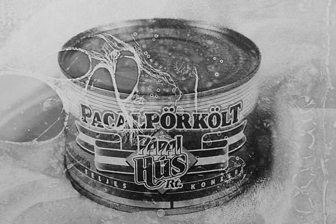 Imprezy we wtorek w Lublinie. Polska 'Gra o Tron'