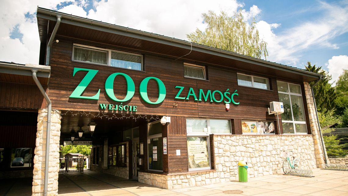 Inflacja dopadła ZOO w Zamościu. Za zobaczenie żyraf trzeba zapłacić więcej