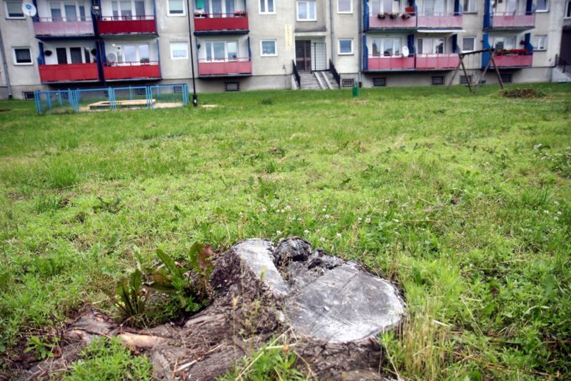 Interes społeczny, czy parafii? Sprawa terenu przy Walecznych wraca do sądu Interes społeczny, czy parafii? Sprawa terenu przy Walecznych wraca do sądu