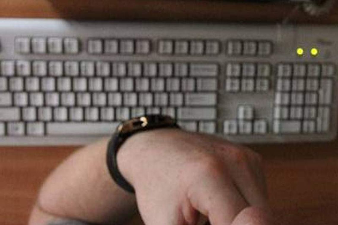 Internetowi włamywacze w Puławach