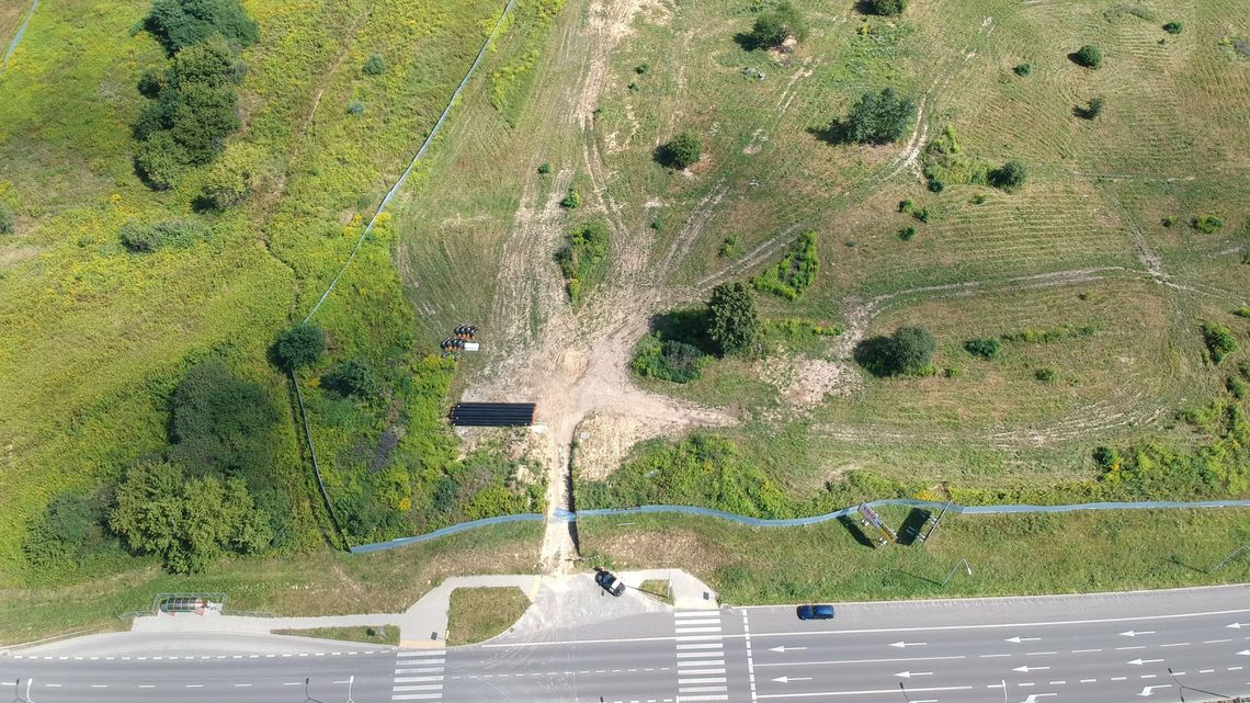 IPN zaczyna szukać ludzkich kości na górkach czechowskich 