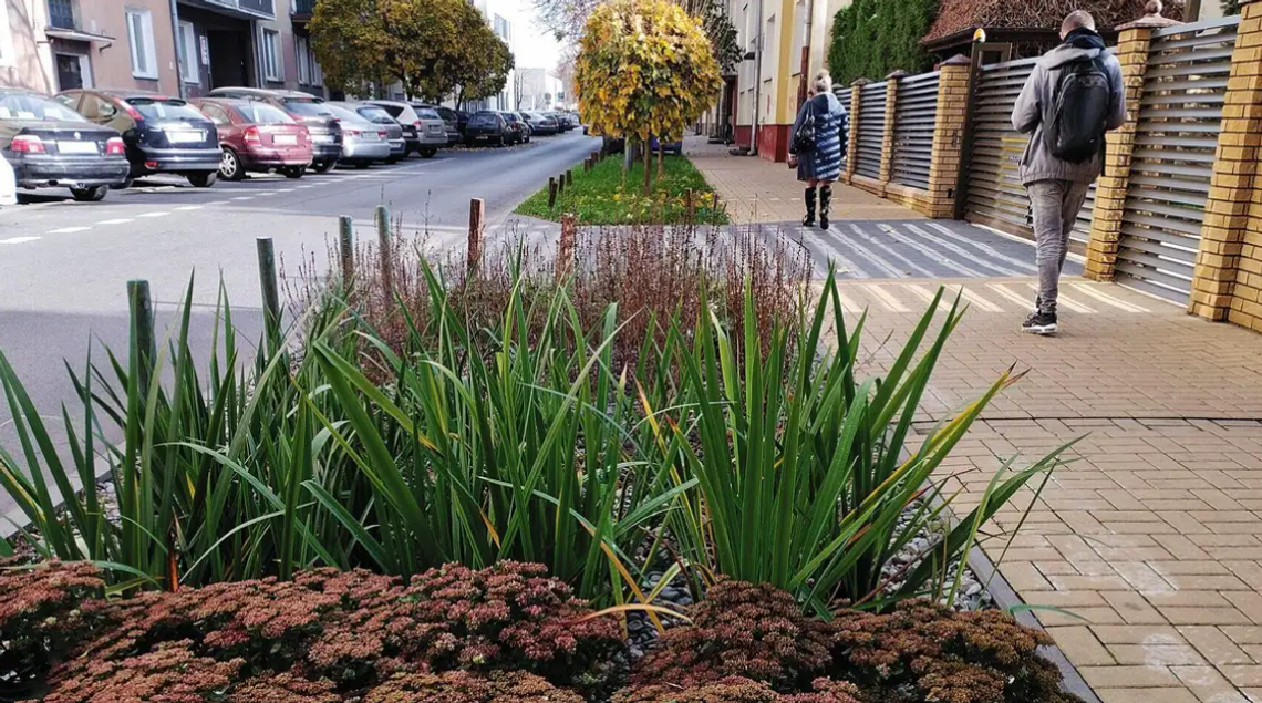IX edycja Zielonego Budżetu w Lublinie. Miasto stawia na retencję wód opadowych