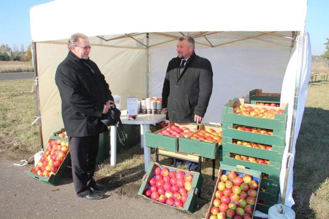 Jabłka na pasie startowym Jabłka na pasie startowym
