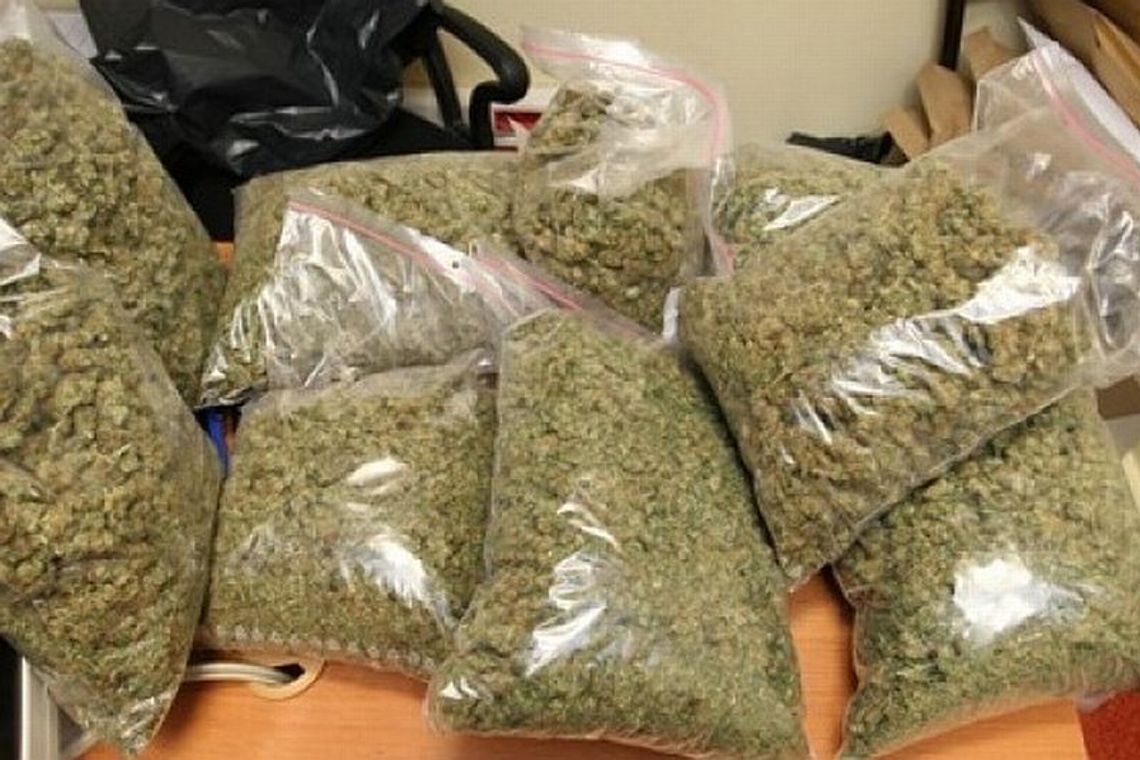 Jabłonna: Schował w piwnicy prawie 4,5 kg marihuany