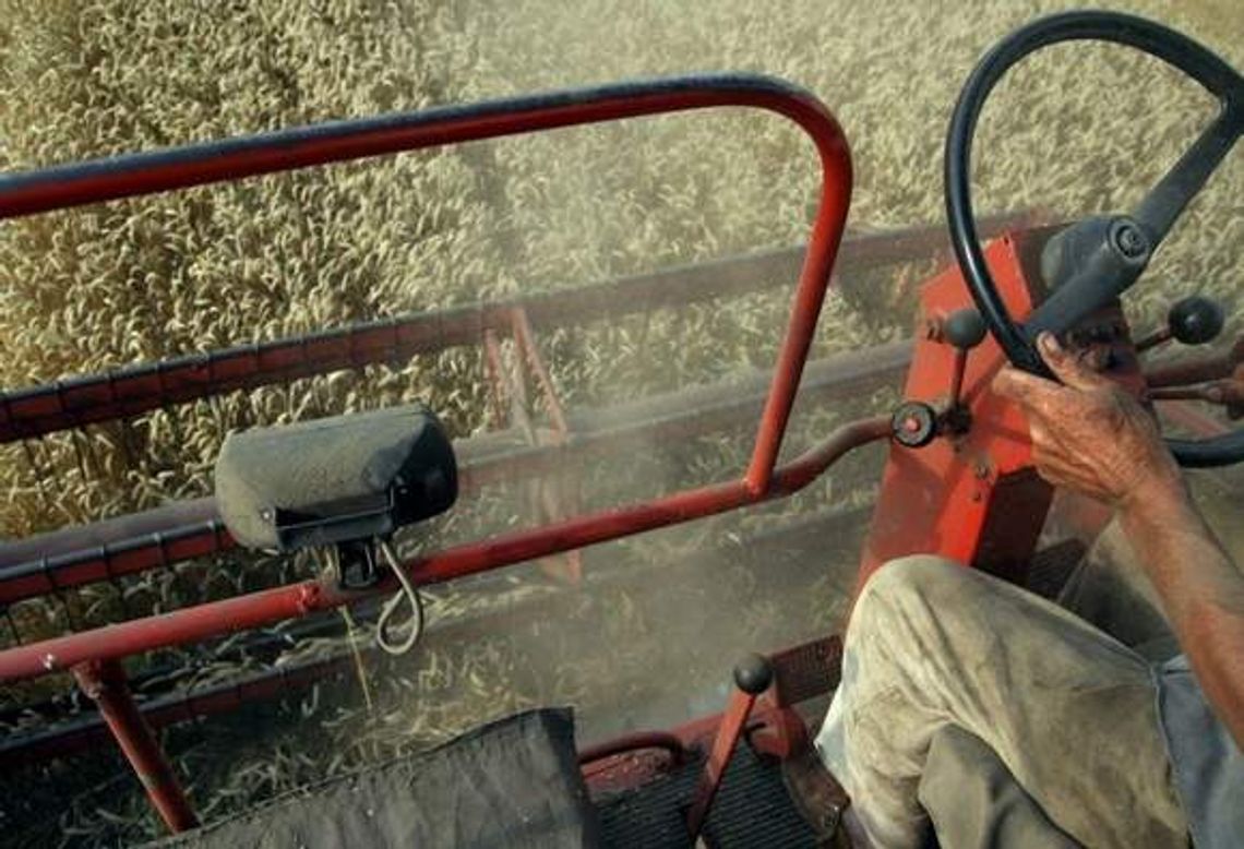 Jagodne: Spadł z kombajnu, zginął pod kołami