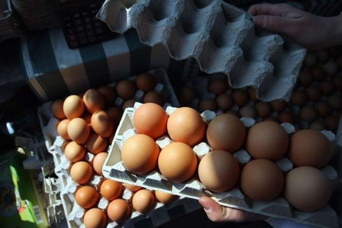 "Jaj jest o połowę mniej niż być powinno". Kury nie chcą się nieść, święta będą droższe "Jaj jest o połowę mniej niż być powinno". Kury nie chcą się nieść, święta będą droższe