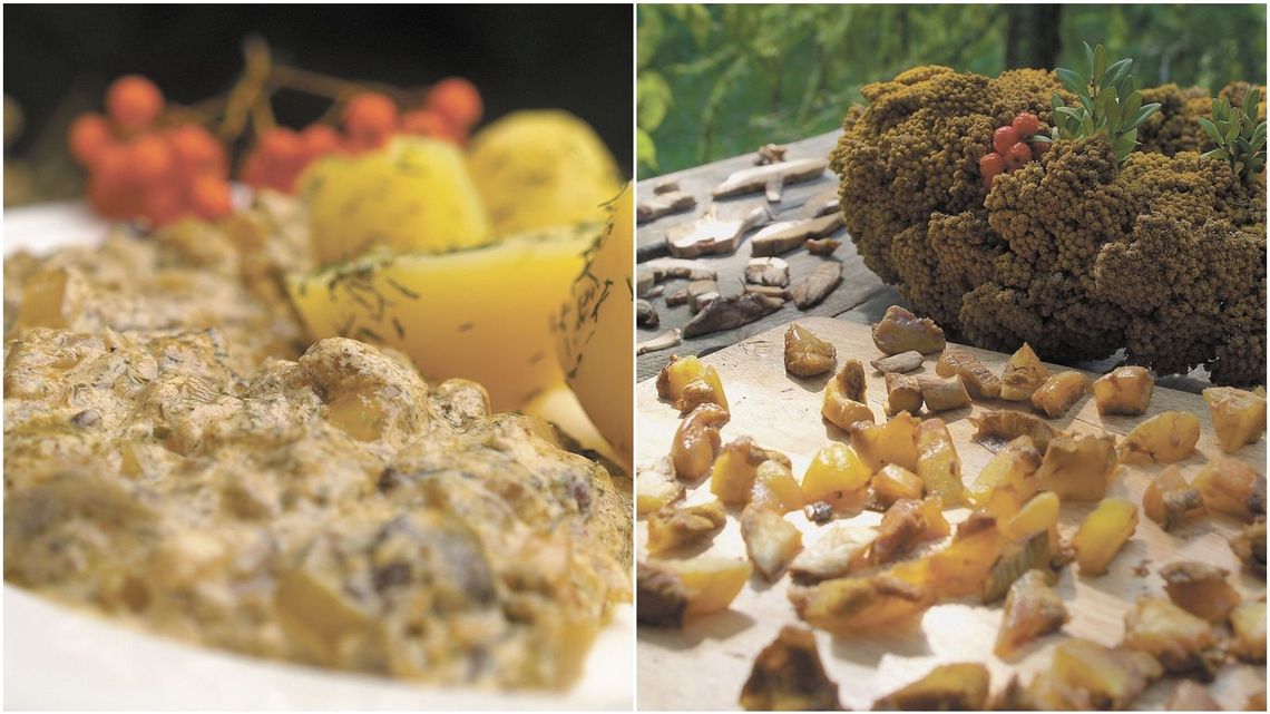 Jajecznica z kurkami, maślaki w śmietanowym sosie. Pomysły na przepisy z grzybami