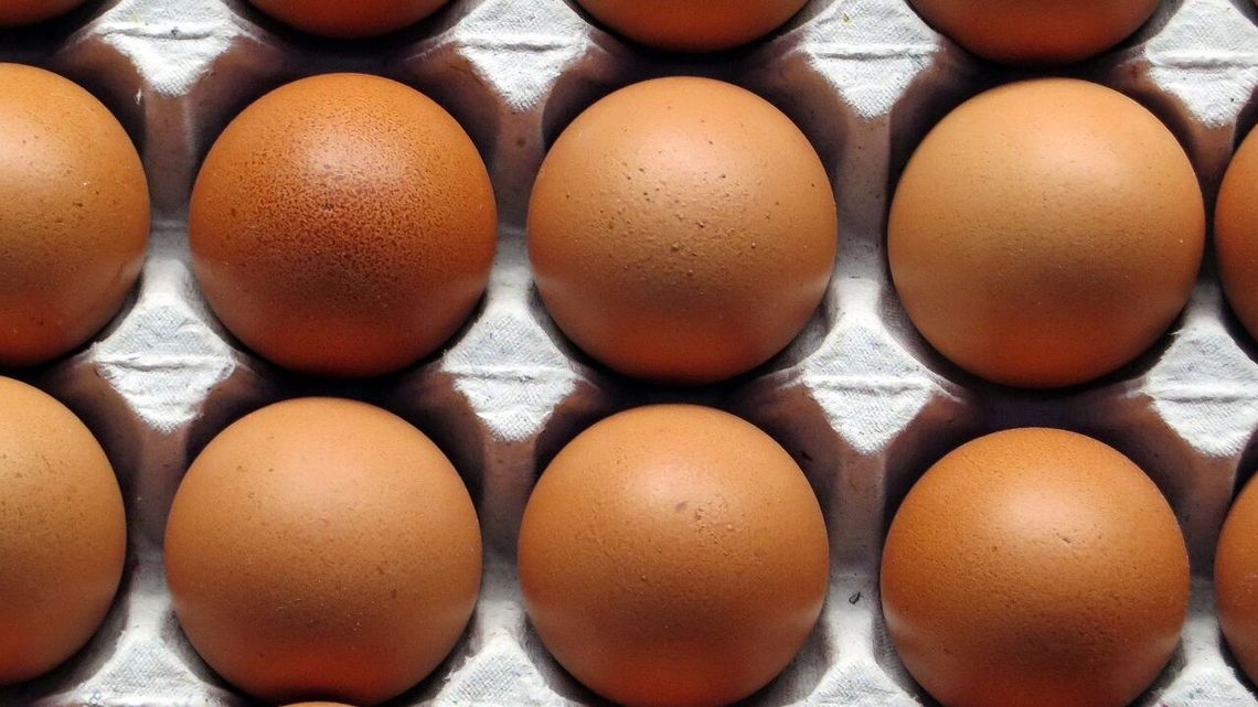 Jajka z Salomonellą. Absolutnie nie należy ich jeść Jajka z Salomonellą. Absolutnie nie należy ich jeść