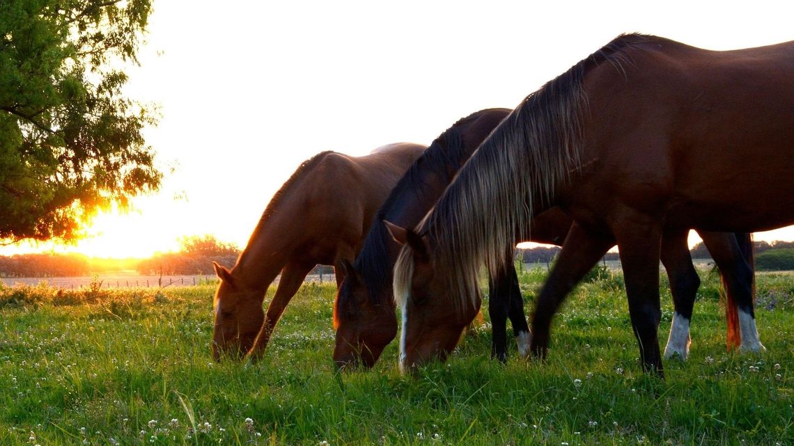 Jak będą wyglądać wakacje w tym roku? Zmieniły się preferowane kierunki podróży