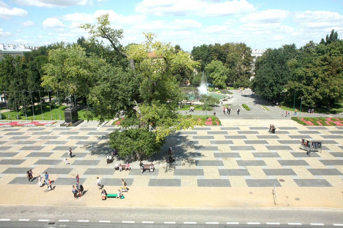 Jak będzie wyglądał plac Litewski? Jak będzie wyglądał plac Litewski?