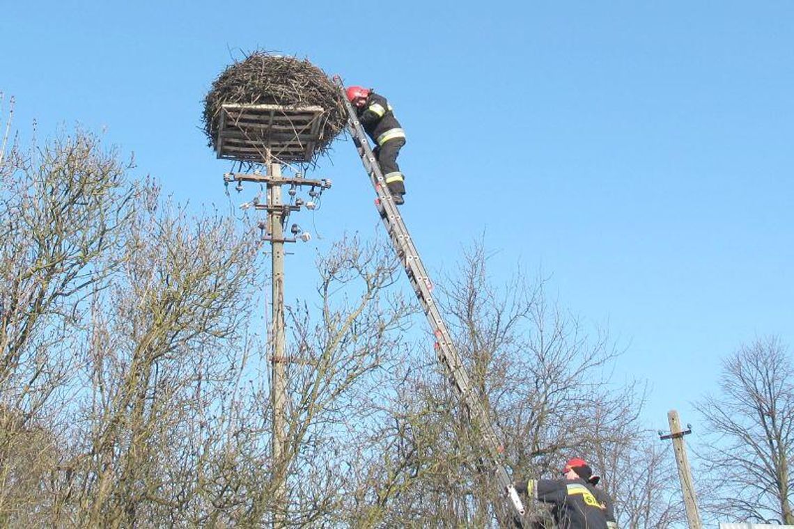 Jak bocian wystrychnął ludzi na dudka 