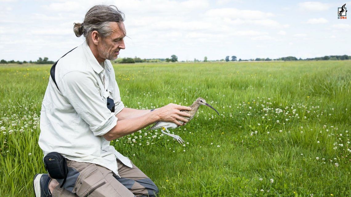 Jak chronić ostrygojada? Oni to pokażą podczas specjalnego obozu