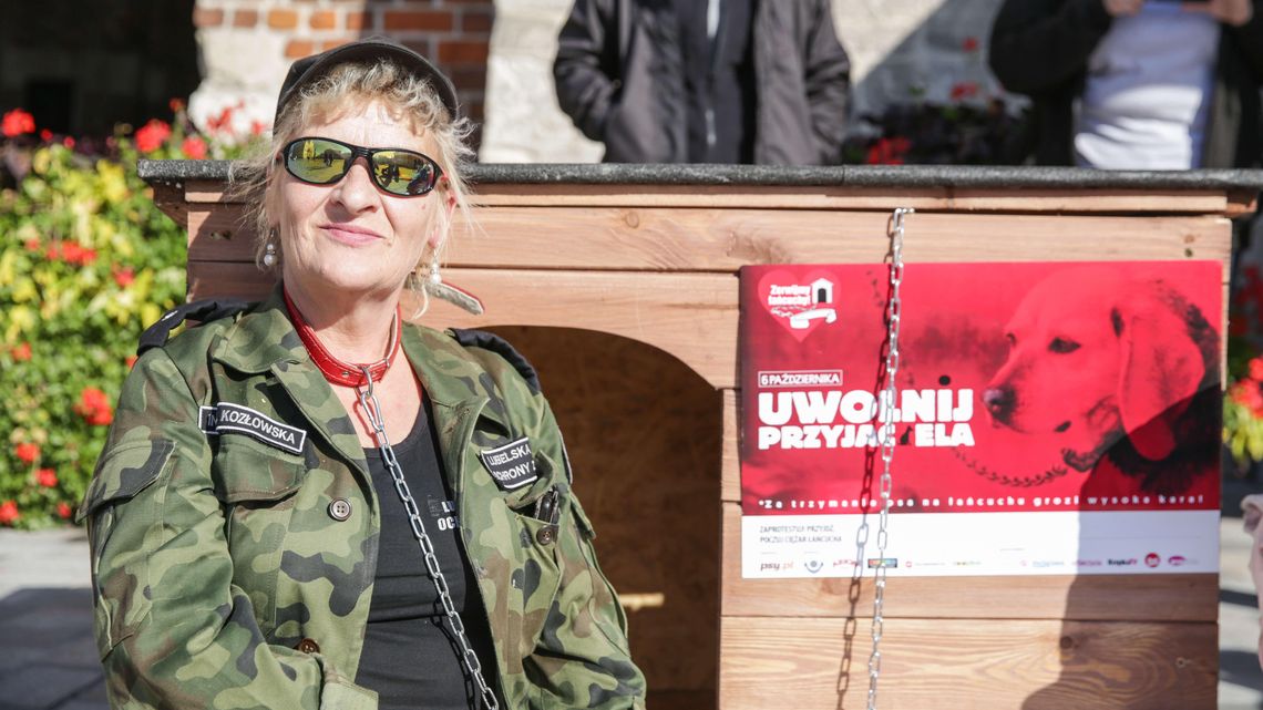 Jak czuje się pies przywiązany na stałe łańcuchem do budy?