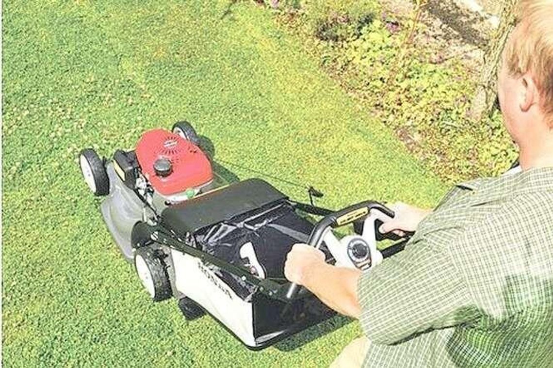 Jak dbać o trawnik na wiosnę? Porady w punktach Jak dbać o trawnik na wiosnę? Porady w punktach