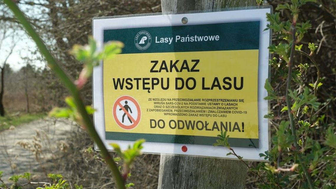 Jak długo będzie obowiązywał zakaz wstępu do lasów?