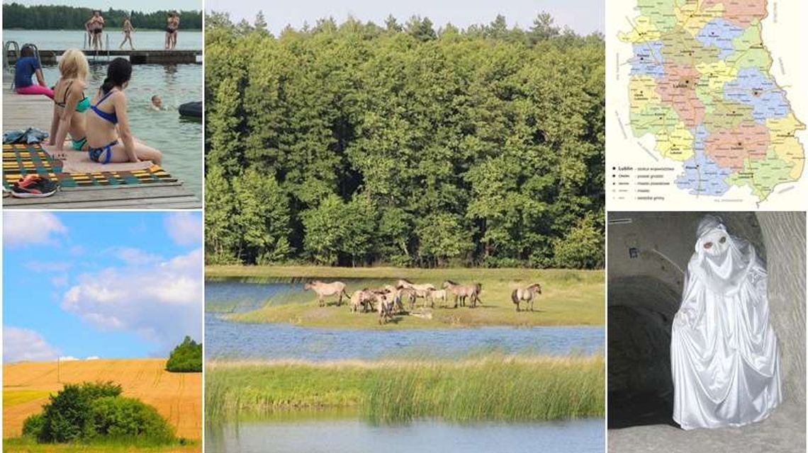 Jak dobrze znasz Lubelskie. Quiz geograficzny