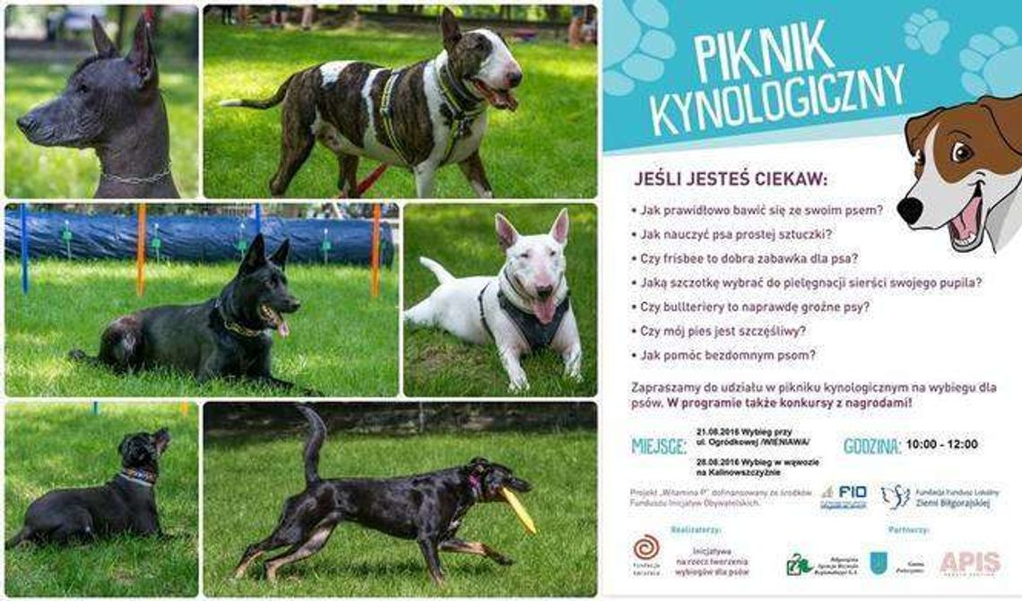 Jak dogadać się z psem? Piknik kynologiczny na wybiegu na Kalinie