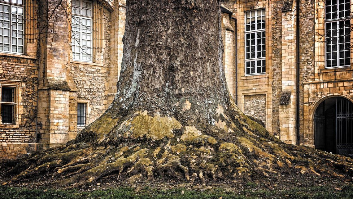 Jak i gdzie szukać informacji o swoich przodkach? Genealogia: archiwa, internet Jak i gdzie szukać informacji o swoich przodkach? Genealogia: archiwa, internet