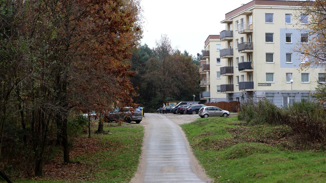 Jak mają wyglądać Puławy na południe od Sosnowej?