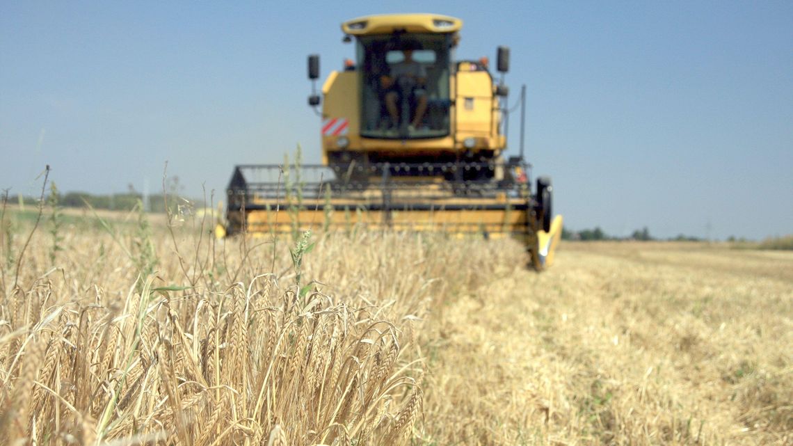 Jak nawozić z korzyścią dla roślin i portfela. Radzi ekspert