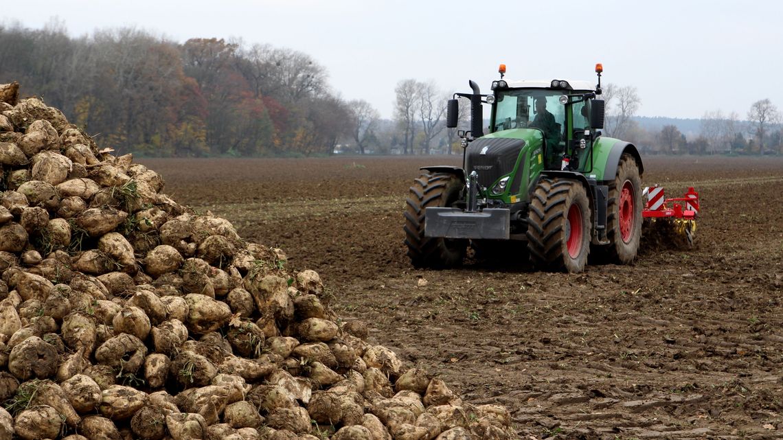 Jak nie susza, to ulewne deszcze. Jesienią rolnikom pogoda także nie sprzyja