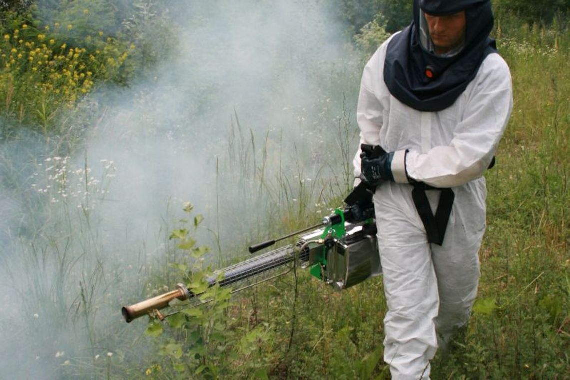 Jak pozbyć się komarów? Będą opryski w Lublinie