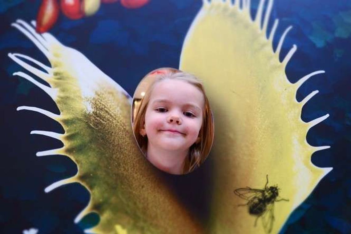 Jak rośliny polują na owady? Festiwal Roślin Owadożernych w Tarasach Zamkowych