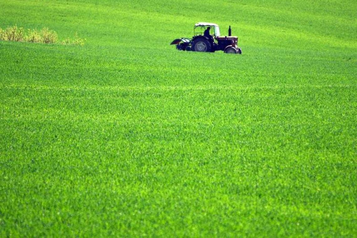 Jak się masz, polski rolniku. Raport o 25 latach polskiego rolnictwa