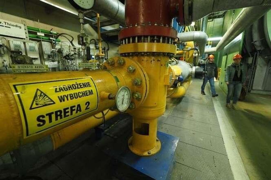 Jak się pracuje w Elektrociepłowni Lublin Wrotków. Dzień otwarty [zdjęcia]