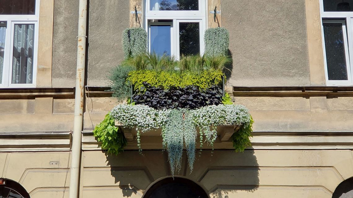 Jak się robi najpiękniejszy balkon w mieście Jak się robi najpiękniejszy balkon w mieście