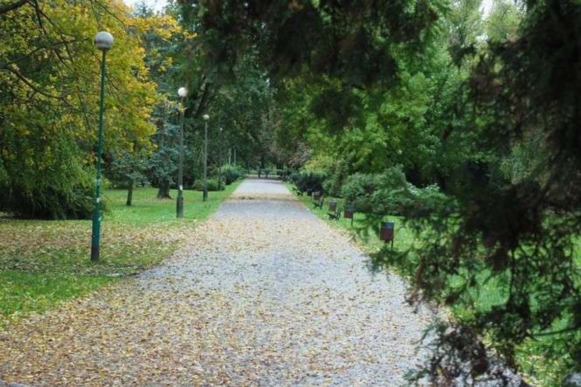 Jak się zmieni Park Ludowy: Lepszy brodzik czy amfiteatr?