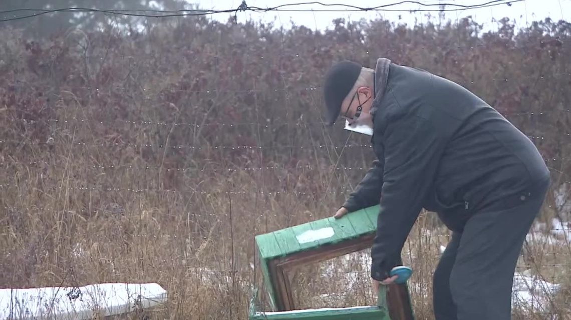 "Jak to zobaczyłem, zacząłem płakać. To barbarzyństwo". Zniszczone ule i zabite pszczoły