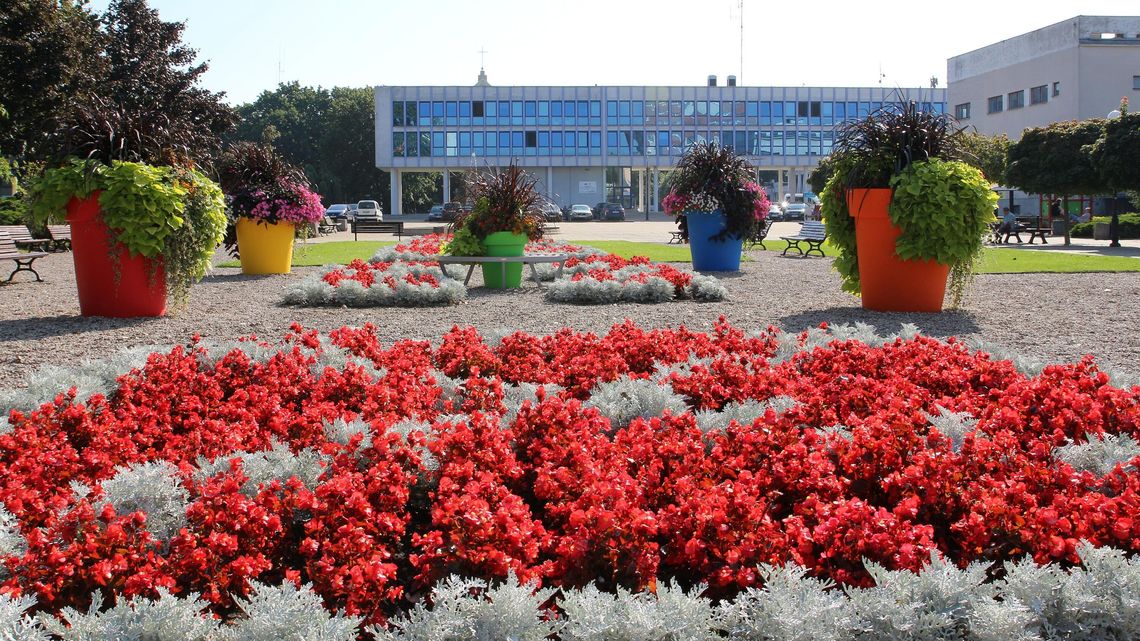 Jak ulepszyć Puławy? Urzędnicy już czekają na pomysły