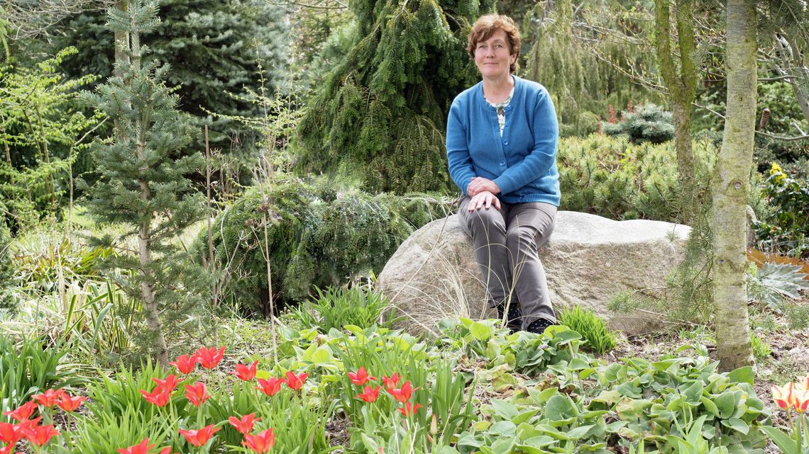 Jak urządzić ogród? Spokój, cierpliwość i natura, czyli ogrodowe przebudzenie