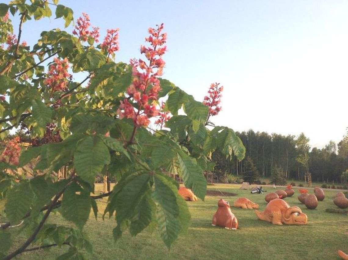 Jak w baśni. 30 maja otwierają 'Magiczne ogrody' koło Janowca