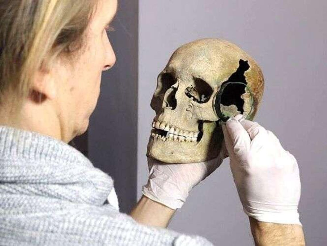 Jak Wasze odkrycia kształtują archeologię? Wystawa w muzeum w Hrubieszowie