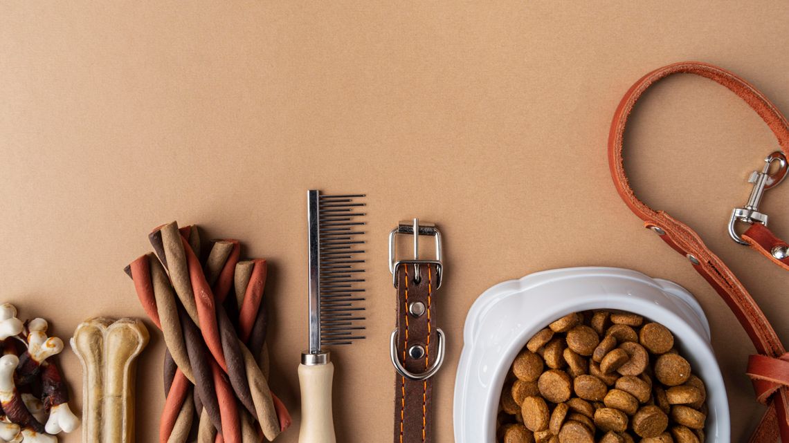 Jak wybrać najlepszy sklep zoologiczny? Poradnik dla troskliwych właścicieli zwierząt